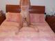 Private Photo of littlestar79hot