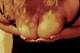 Private Photo of bbw_passion