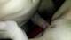 Private Photo of RedLilliexx