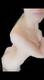 Private Photo of Sexyporcellina69
