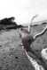 Private Photo of biondina_hot
