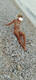 Private Photo of biondina_hot