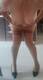 Private Photo of DolceAmelie