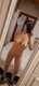 Private Photo of Pupa8484