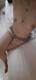Private Photo of Pupa8484