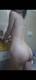 Private Photo of Miaelix69