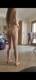 Private Photo of Miaelix69