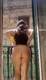 Private Photo of Candy88