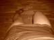 Private Photo of beatrix_k23