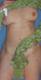 Private Photo of poppeasex