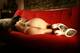Private Photo of Bruna88